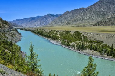 Turkuaz dağ nehir Katun, Altay Cumhuriyeti, Rusya Federasyonu