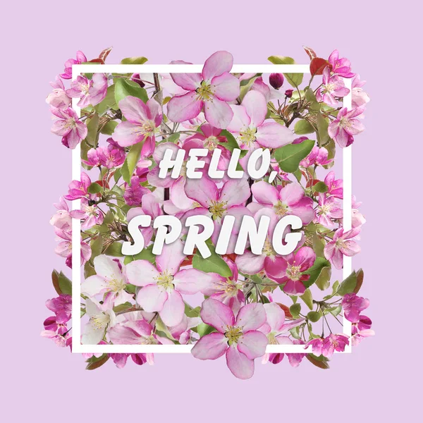 Diseño floral de primavera con flores de cerezo en forma rectangular —  Fotos de Stock