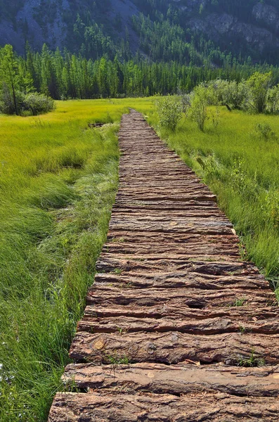Pasarela de madera a través del valle pantanoso montañoso — Foto de Stock