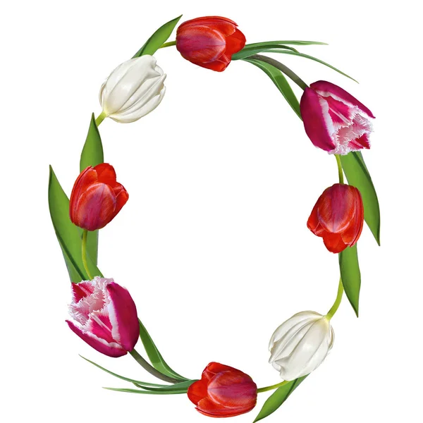 Círculo festivo tulipán flores marco sobre un fondo blanco aislado — Foto de Stock