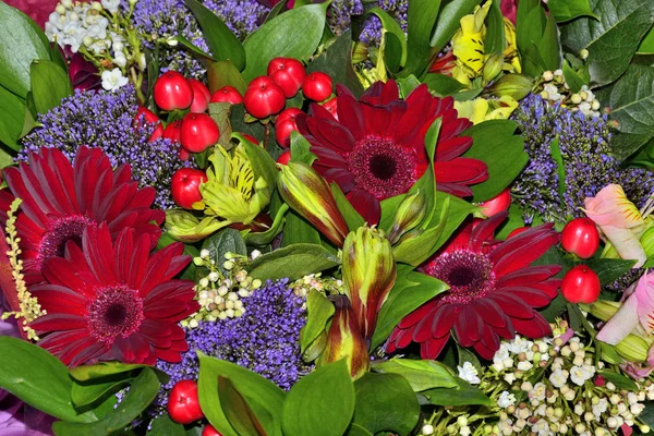 Vacker bukett från röda Gerbera, alstroemeria blommor, hyper — Stockfoto