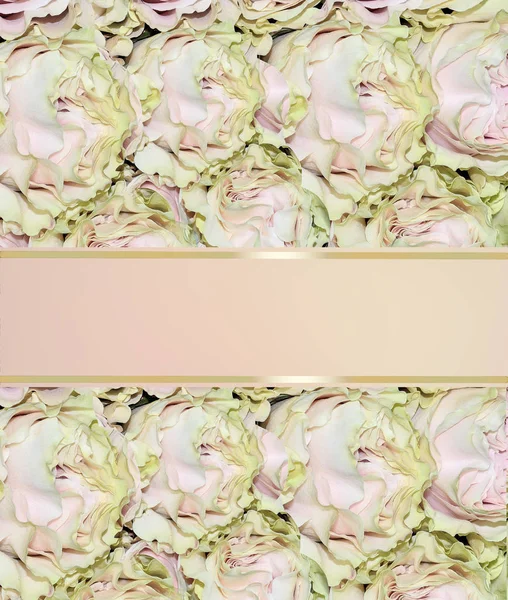 Mooie bruiloft uitnodiging met roze rozen - feestelijke floral ba — Stockfoto