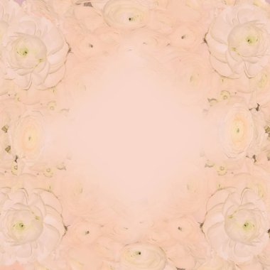 Hassas pastel pembe kremalı şenlikli çerçeve çiçek pembe ranun ile