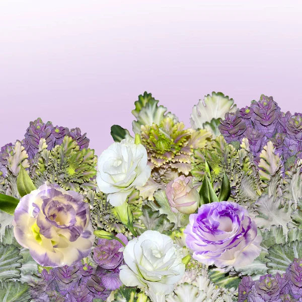 Boeket van Eustoma (Lisianthus) bloemen en decoratieve kool - — Stockfoto