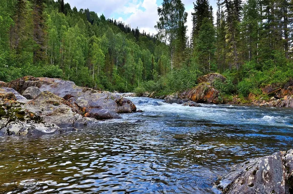 美丽晴朗的夏日景色 在茂密的森林和巨大的石头之间快速流动的山河 — 图库照片