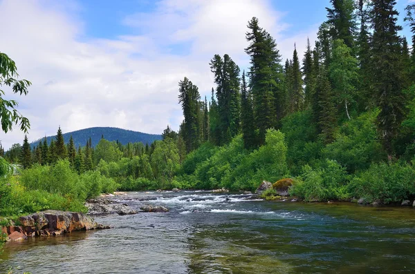 快速流动的山区河流，茂密的森林和巨石之间 — 图库照片