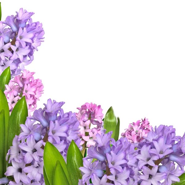 Primavera temprana delicada fondo floral con lila y rosa hyac — Foto de Stock