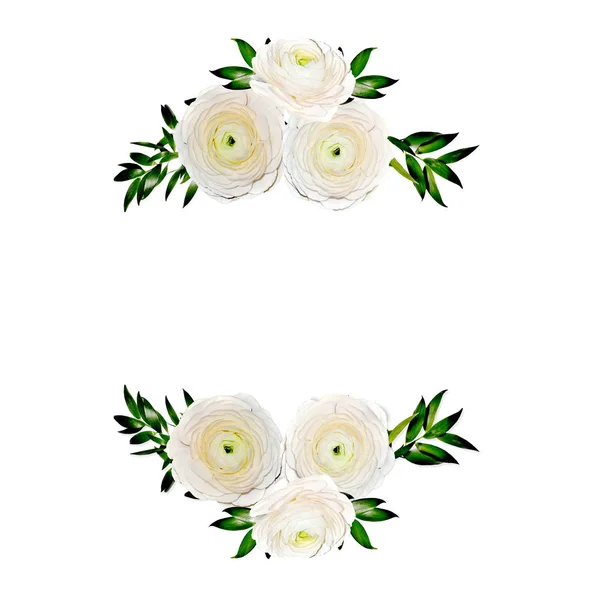 Delicate floral frame with ranunculus flowers isolated on white — Stock Photo, Image