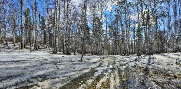 Early spring landscape in forest with melting snow and brook — Stock Photo, Image