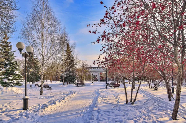 Kolorowy zimowy pejzaż miejski wieczorem zaśnieżony park miejski — Zdjęcie stockowe