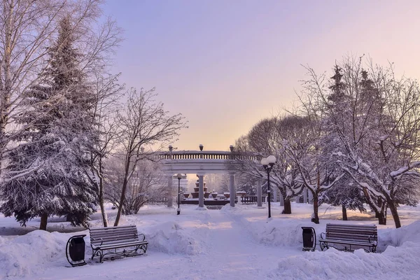 Passeggiata invernale nel parco della città innevato al tramonto — Foto Stock