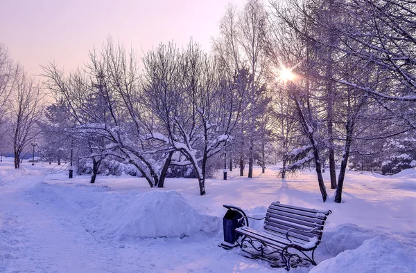 Frosty pink morning in winter snowy city park — Stock Photo, Image