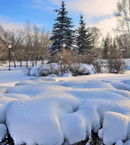 Zimowy krajobraz w śnieżnym parku miejskim po śnieżycy — Zdjęcie stockowe