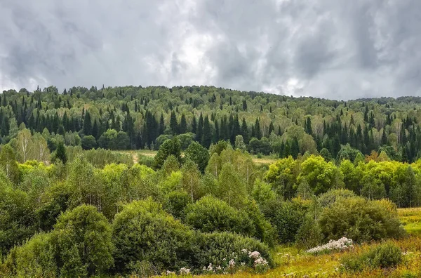 Paysage couvert au début de l'automne - collines couvertes de forêt de dence — Photo