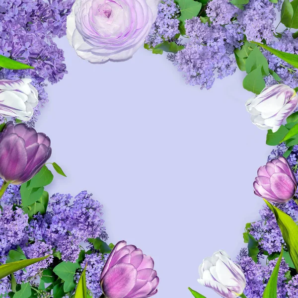 Wunderschöner Frühlingsblumenrahmen mit lila Blüten und lila Tüll — Stockfoto