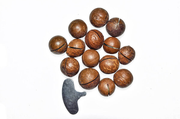 Whole unshelled macadamia nuts and metal key for opening nutshell on white background. Nutritious, tasty and healthy snack. Macadamia is the most expensive nut in the world with hardest shell. Top view