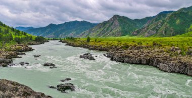 Oroktoy, Altai dağları yakınlarındaki Teldykpen akıntısı ile hızlı dağ nehri Katun 'un yaz manzarası. Vadideki en dar ve en derin Sibirya dağı nehri.