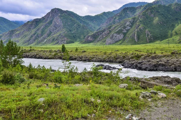 俄罗斯阿尔泰山区Oroktoy村附近卡通河与Teldykpen激流的夏季风景 锡伯林山河最窄最深的地方在岩石中的山谷中 — 图库照片