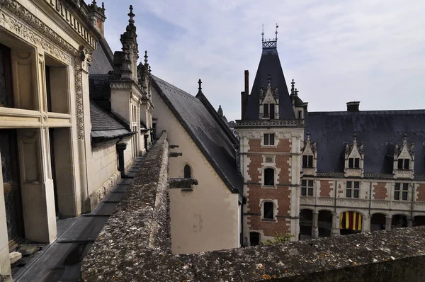 Kraliyet Chateau Amboise Stok Fotoğraf