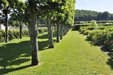 Villandry, Fransa - Haziran, 2013 - kale Villandry ile Bahçe. Villandry Chateau Loire Valley Rönesans sırasında inşa Loire büyük chateau sonu.