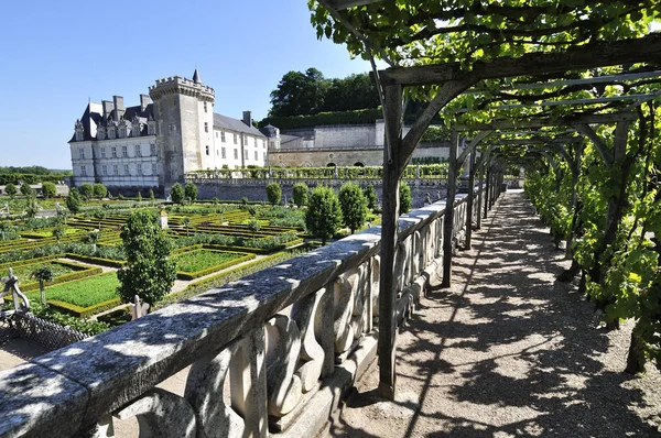 Villandry, Frankrike - juni 2013 - trädgård med slottet Villandry. Chateau Villandry är sist av stora slottet Loire byggdes under renässansen i Loiredalen. — Stockfoto