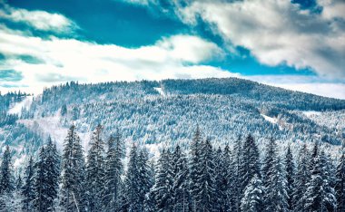 Karpat Dağları doğa tatil dağ