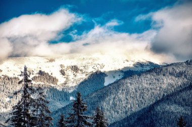 Karpat Dağları doğa tatil dağ