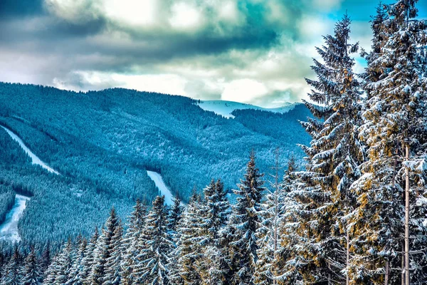 Karpat Dağları doğa tatil dağ