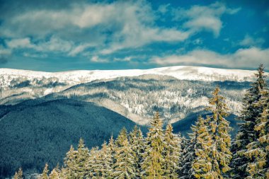 Karpat Dağları doğa tatil dağ