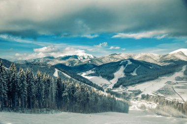 Karpat Dağları doğa tatil dağ