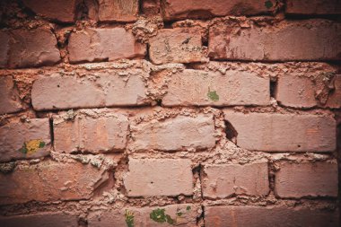 rad boyalı duvar arkaplanı