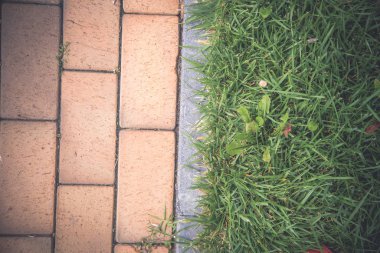 Arkaplan dokusu fayans ve çimen yeşili