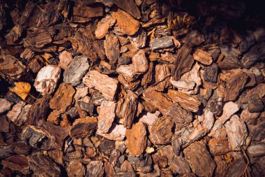 arkaplan dokusu dekoratif ağaç kabuğu