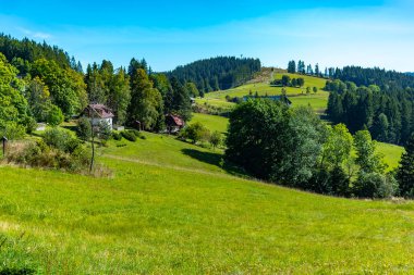 Mavi gökyüzü ile yaz dağı manzarası, bir çayırda yol - Moravian-Silesian Beskydy, Grun, Çek