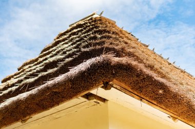 Chernivtsi, Ukrayna 'da tipik ahşap kulübeleri ve değirmenleri olan eski geleneksel mimari.
