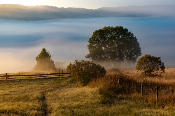 Beau paysage de montagne en automne matin près du parc national des montagnes Rodnei, Roumanie — Photo