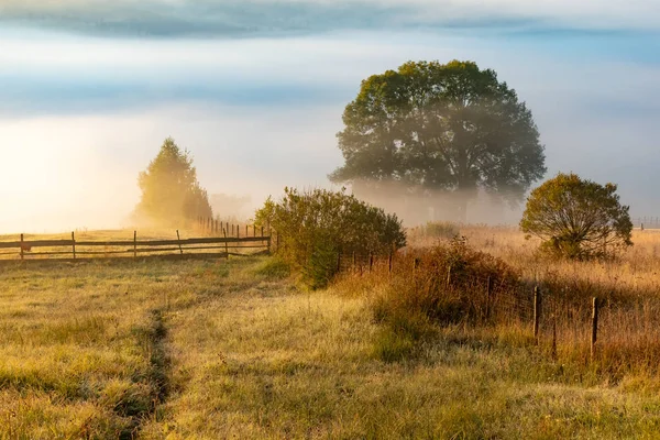 Hermoso paisaje de montaña en la mañana de otoño cerca del Parque Nacional Montañas Rodnei, Rumania — Foto de Stock