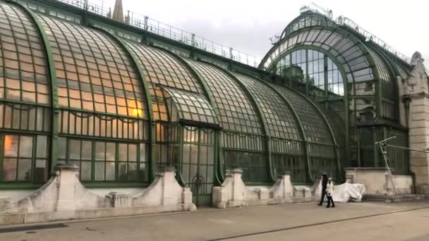 Wien, Österreich, 15. Dezember 2019 - Schmetterlingshaus mit tropischen Pflanzen in Wien, 4k Videomaterial — Stockvideo