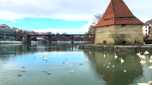 斯洛文尼亚马里博尔市Drava河上的中世纪水塔、老国家桥和天鹅的景观，4k段视频 — 图库视频影像