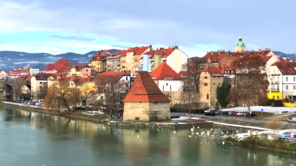Γραφική θέα του μεσαιωνικού πύργου νερού, της παλιάς κρατικής γέφυρας και των κύκνων στον ποταμό Ντράβα, Μάριμπορ, Σλοβενία, βίντεο 4k — Αρχείο Βίντεο