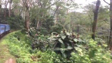 Sri Lanka 'daki çoğu pitoresk tren yolunda trenle seyahat eden pencerenin görüntüsü, 4k video