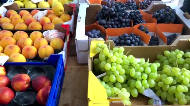 АЛКУДИЯ, Испания - 15 июля 2019 года - Рынок с фруктами, цветами и сувенирами в исторической деревне Алкудия на Майорке — стоковое видео
