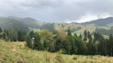 Güzel manzara dağ çayırı, Bucovina, Romanya, 4k video