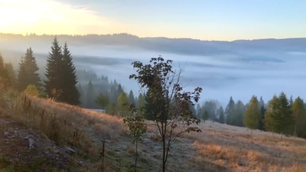 Krásná krajina Rumunská vesnice mlhavý východ slunce mlha v Rumunsku idylický venkov země život venkovský, 4k záběry video — Stock video