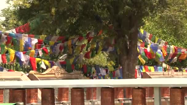 Banderas tibetanas de oración colgadas en Sarnath, Varanasi, India, video de imágenes 4k — Vídeos de Stock