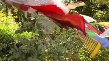 Sarnath, Varanasi, Hindistan 'da asılı Tibet dua bayrakları, 4k video