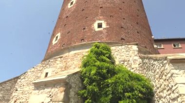 Wawel Kraliyet Kalesi Kulesi ve Katedral, 4k video.