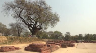 Dharmarajika Stupa Sarnath, Buddha Place 'deki Dhamekh Stupa yakınlarında, Varanasi, Hindistan, 4k video