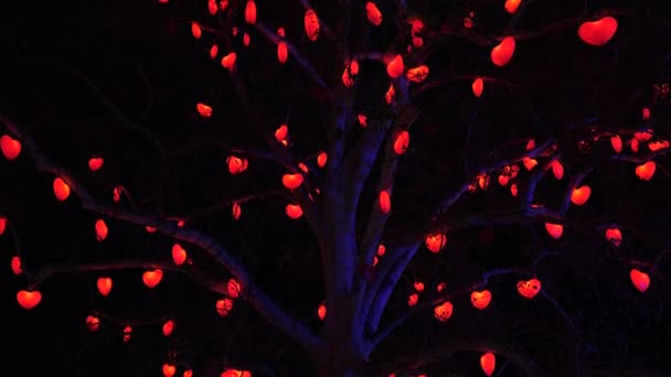Hermoso árbol con corazones rojos Luces de Navidad, decoración de la ciudad en la noche en Austria — Vídeo de stock