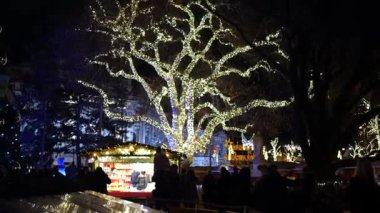 Kışın akşam belediye binası yakınlarındaki Noel pazarı Noel süslemeleri, Noel pazarı Rathausplatz Viyana Avusturya Aralık 2018